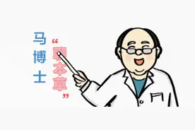 【马博士聊本草】女科要药（四）：三七的故事——“能治一切血症的金不换”图片