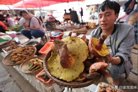 见手青是啥？一种有毒蘑菇，云南人的上等野味，他们真的不怕毒？图片