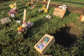 一个非常“90年代”的死亡——拓麻歌子之墓图片