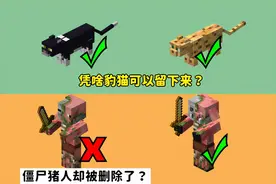 我的世界：凭啥豹猫能留下，僵尸猪人却被删除？跟对人很重要图片