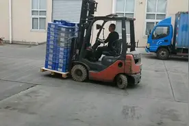 叉车驾驶证怎么考？可以去普通的驾校办理吗？图片