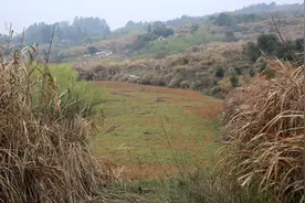 农村个人开垦的荒地，归个人还是归村集体所有？应该怎么处理？图片