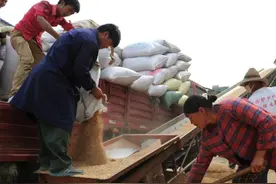 提个醒！农村收粮又出“新骗局”，短短这几天，不少农民已上当图片