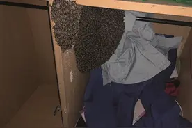 衣柜里藏着的东西 吓得6个小伙子不敢睡觉幸好，救星来了图片