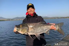 你真的会开鲢鳙饵？恐怕一上来水比就错了，想要鲢鳙爆护可就难了图片