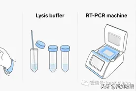 新加坡飞南京的“真心”体验图片