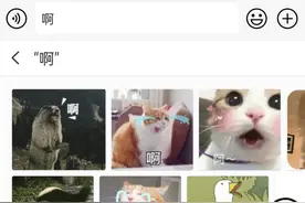 搜狗输入法这功能，该管管了图片