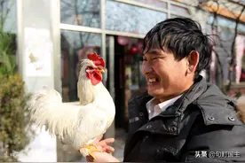 朱之文回应年赚1500万，称知足常乐热爱土地，自己是爱唱歌的农民图片