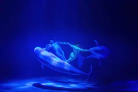 假期研学，黑龙江这些地方凉快又好玩图片