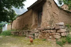 深山3个小院不住人环境真好，打算隐居的人去看，绝对是好地方图片