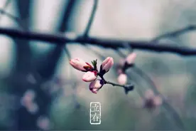 农村俗语“七年难逢九月闰，百年难遇初一春”啥意思？有道理吗？图片