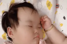 慵懒“三胞胎”组合睡觉走红，二妞：终究是我一个人扛下了所有图片