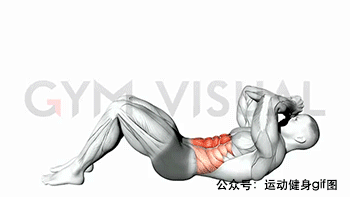 54张全套腹肌动图谱，腹部不听话就用这些虐它图片