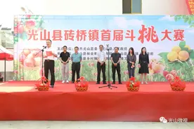 斗桃庆丰收，桃香醉游人！光山县砖桥镇首届斗桃大赛圆满举行图片