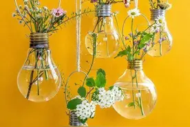 红酒瓶子玻璃杯，都是养花宝贝，不花钱自制漂亮花盆，比买的都强图片