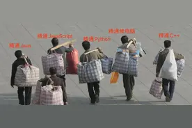 官方坐实了：程序员都是农民工图片