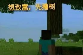 我的世界萌新生存小技巧！刚入麦块的小伙伴来看看吧！图片