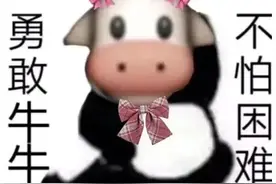 表情包：勇敢牛牛，不怕困难图片