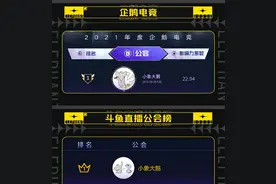 PDD和梦泪两人粉丝破亿，旗下更有Uzi大司马，小象大鹅真给力图片