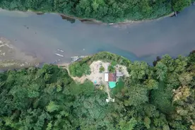 【关注】皮鞭、木棍、水牢……揭秘缅北的“发财梦”！图片