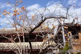 有什么方法可以让树自然死掉？图片