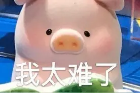 表情包：被生活击扁图片