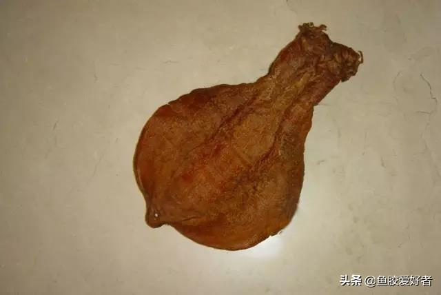 花胶能存放多久 花胶能存放多久不变质