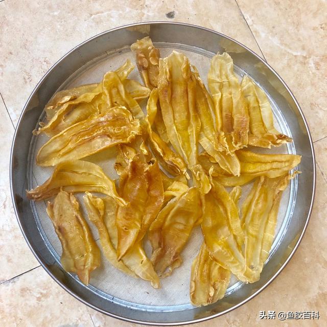 北海公鱼胶和母胶的区别 2026年北海公鱼胶和北海母鱼胶的功效差别