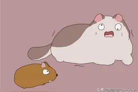 猫和鼠的4种新关系，有的猫以鼠为友图片