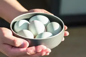 腌咸鸭蛋，牢记“2个窍门”，鸭蛋不变质，起沙流油吃着香图片