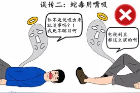 被蛇咬了该怎么办？可以用嘴吸毒吗？图片