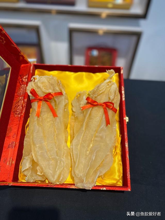 花胶可以多泡几天吗 花胶可以多泡几天吗有毒吗