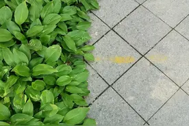 女人真的需要男人？图片