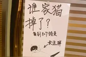 邻居画的“寻猫启事”火了，自带密码锁，只有猫咪主人才能看懂图片