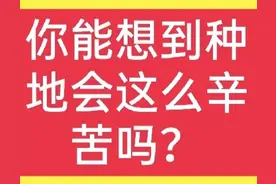 稻种变成大米有多辛苦你知道吗？看了今天文章，你还会浪费吗？图片