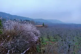 徒步西安第一高“塬”，闯入幽静的谷地，又途经一家神秘的单位图片