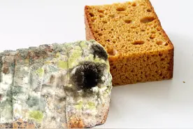 发霉的食物究竟能不能食用？图片