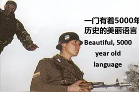 外国人用“梗图”吐槽学中文，像极了考四六级的我，看完笑出鹅声图片