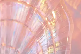 男女主有恋爱合约，契约婚姻，假戏真做图片