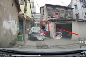 萧山网友堵车又堵心：对方车主扔下车就走！后面排着长长的车队......图片