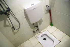 厕所大改造：坐厕改蹲厕，我白花近千元冤枉钱图片