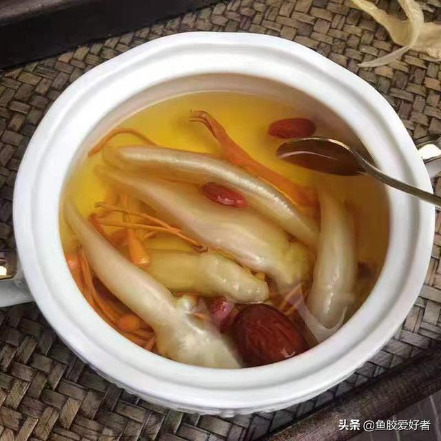 豆仁胶是什么鱼的 2026年豆仁鱼胶有什么营养价值