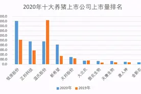 群雄争霸，大洗牌？2020年中国十大养猪上市公司排名图片