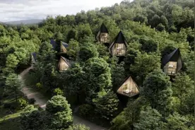 创新下的树屋，太治愈了图片