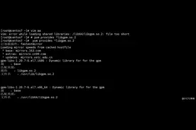 CentOS 7 系统 vim无法使用——解决方法图片