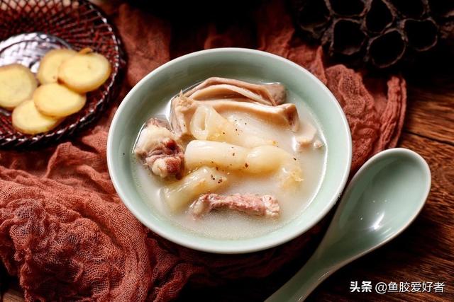 大口和豆仁鱼胶 2026年豆仁胶和大口鱼胶哪种好