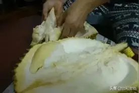 哈士奇偷吃了主人的榴莲，可几分钟后，二哈的反应绝了图片