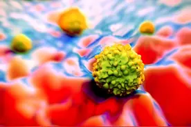 巴马长寿乡变“癌症村”，一个山洞能治病抗癌，大量病号涌入图片