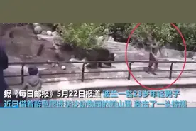 男子酒后去动物园，将一头成年母棕熊打成抑郁症，这账怎么算？图片