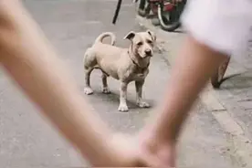 警察男友/老公不会拍照，是一种怎样的体验？图片